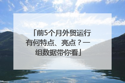 前5个月外贸运行有何特点、亮点？一组数据带你看