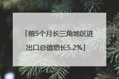 前5个月长三角地区进出口总值增长5.2%