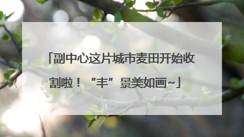 副中心这片城市麦田开始收割啦！“丰”景美如画~