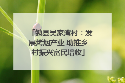 勉县吴家湾村：发展烤烟产业 助推乡村振兴富民增收