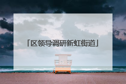 区领导调研新虹街道