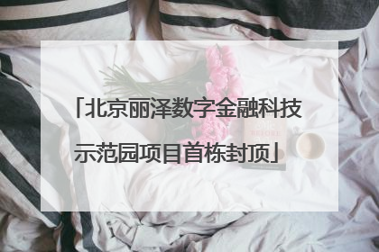 北京丽泽数字金融科技示范园项目首栋封顶