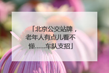 北京公交站牌，老年人有点儿看不懂……车队支招