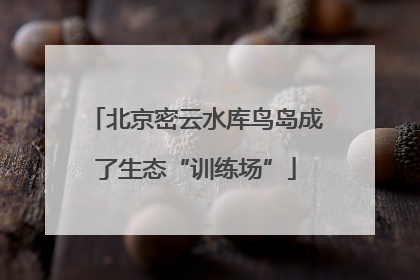 北京密云水库鸟岛成了生态“训练场”