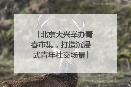 北京大兴举办青春市集，打造沉浸式青年社交场景