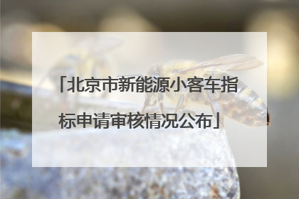北京市新能源小客车指标申请审核情况公布