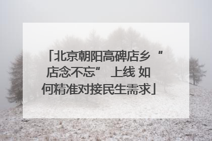 北京朝阳高碑店乡“店念不忘” 上线 如何精准对接民生需求