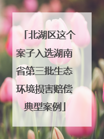 北湖区这个案子入选湖南省第三批生态环境损害赔偿典型案例