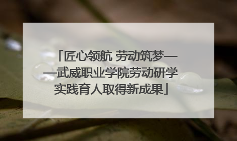 匠心领航 劳动筑梦——武威职业学院劳动研学实践育人取得新成果