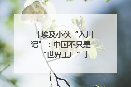 埃及小伙“入川记”：中国不只是“世界工厂”