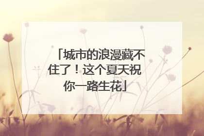城市的浪漫藏不住了！这个夏天祝你一路生花
