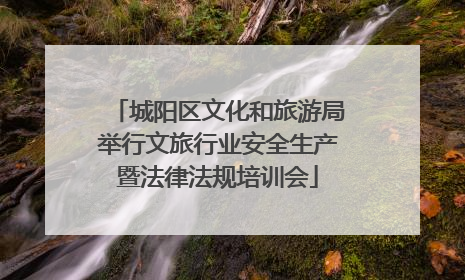 城阳区文化和旅游局举行文旅行业安全生产暨法律法规培训会