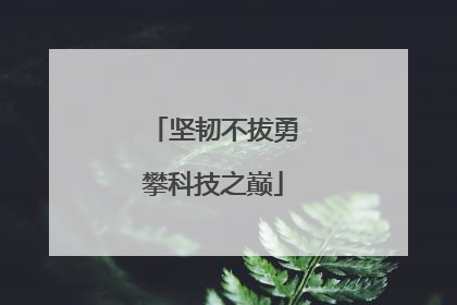 坚韧不拔勇攀科技之巅