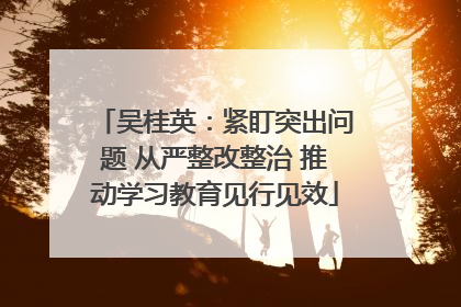 吴桂英：紧盯突出问题 从严整改整治 推动学习教育见行见效