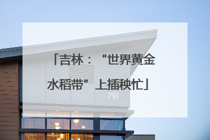 吉林：“世界黄金水稻带”上插秧忙