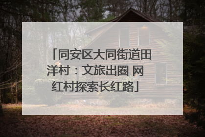 同安区大同街道田洋村：文旅出圈 网红村探索长红路