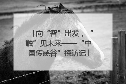 向“智”出发，“触”见未来——“中国传感谷”探访记