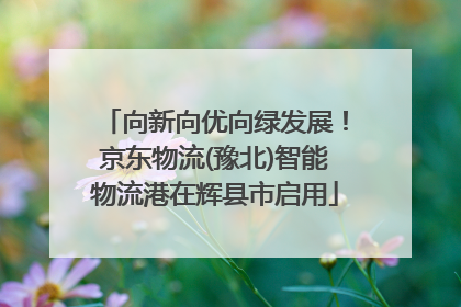 向新向优向绿发展！京东物流(豫北)智能物流港在辉县市启用