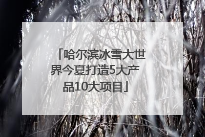哈尔滨冰雪大世界今夏打造5大产品10大项目