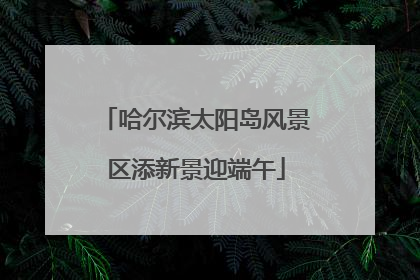 哈尔滨太阳岛风景区添新景迎端午