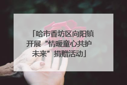 哈市香坊区向阳镇开展“情暖童心共护未来”捐赠活动