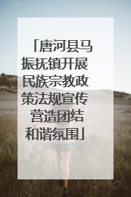 唐河县马振抚镇开展民族宗教政策法规宣传 营造团结和谐氛围