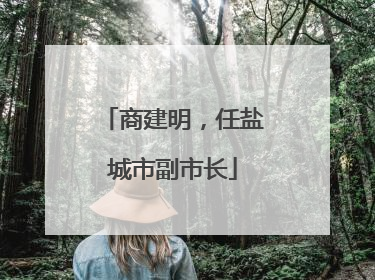 商建明，任盐城市副市长
