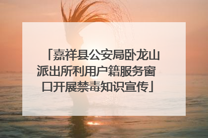 嘉祥县公安局卧龙山派出所利用户籍服务窗口开展禁毒知识宣传