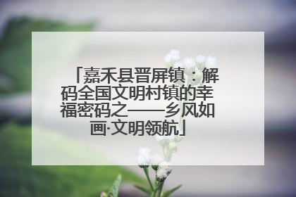 嘉禾县晋屏镇：解码全国文明村镇的幸福密码之——乡风如画·文明领航