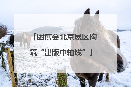 图博会北京展区构筑“出版中轴线”