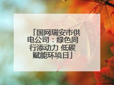 国网瑞安市供电公司：绿色同行添动力 低碳赋能环境日