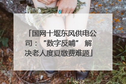国网十堰东风供电公司：“数字反哺” 解决老人度夏缴费难题