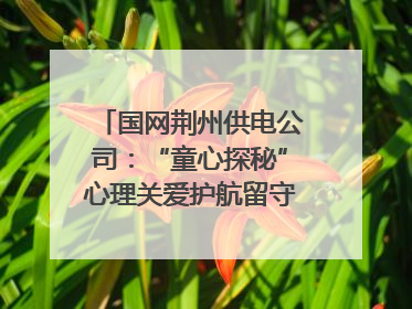 国网荆州供电公司：“童心探秘”心理关爱护航留守儿童成长