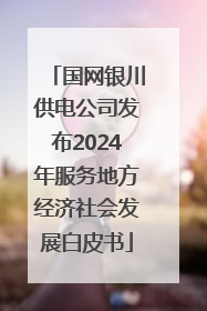 国网银川供电公司发布2024年服务地方经济社会发展白皮书
