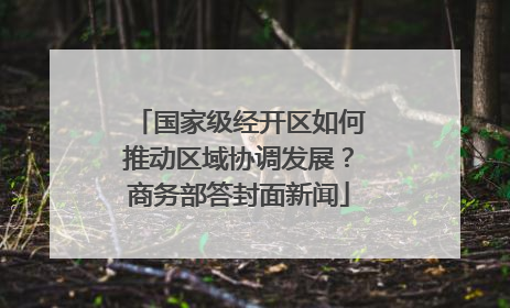 国家级经开区如何推动区域协调发展？商务部答封面新闻