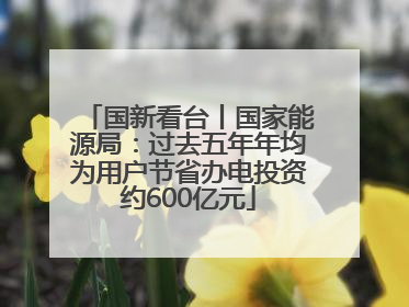 国新看台丨国家能源局：过去五年年均为用户节省办电投资约600亿元
