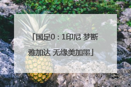 国足0∶1印尼 梦断雅加达 无缘美加墨
