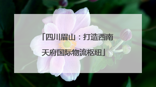 四川眉山：打造西南天府国际物流枢纽