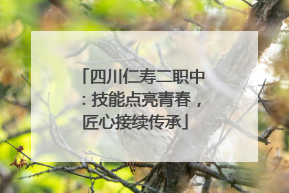 四川仁寿二职中：技能点亮青春，匠心接续传承