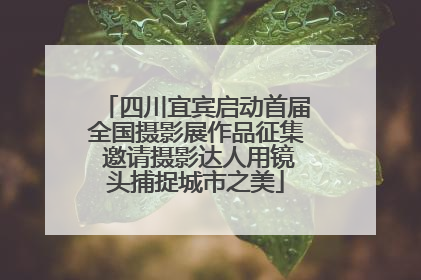 四川宜宾启动首届全国摄影展作品征集 邀请摄影达人用镜头捕捉城市之美