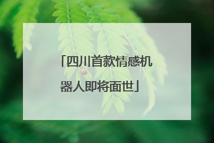 四川首款情感机器人即将面世