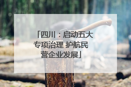 四川：启动五大专项治理 护航民营企业发展