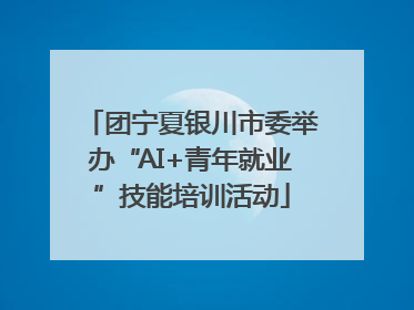 团宁夏银川市委举办“AI+青年就业”技能培训活动