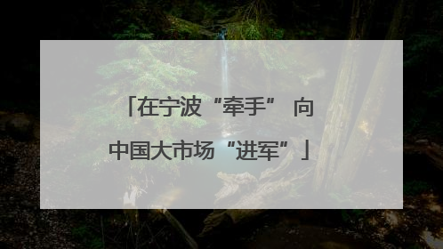 在宁波“牵手” 向中国大市场“进军”
