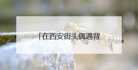 在西安街头偶遇背着历史的“秦人” 开启跨越2000多年的时空对话