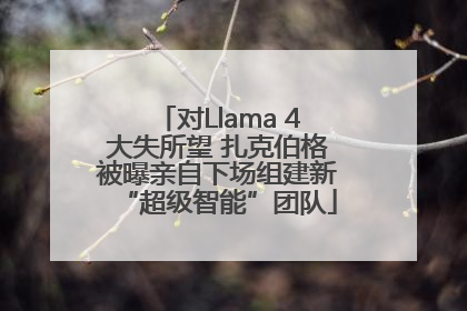 对Llama 4大失所望 扎克伯格被曝亲自下场组建新“超级智能”团队