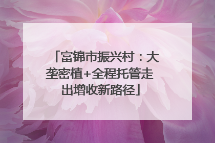 富锦市振兴村：大垄密植+全程托管走出增收新路径