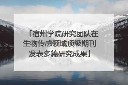 宿州学院研究团队在生物传感领域顶级期刊发表多篇研究成果