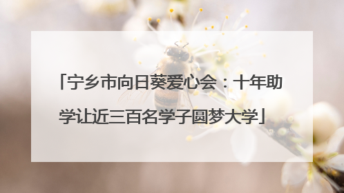宁乡市向日葵爱心会：十年助学让近三百名学子圆梦大学