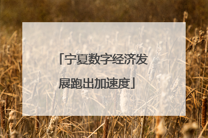 宁夏数字经济发展跑出加速度